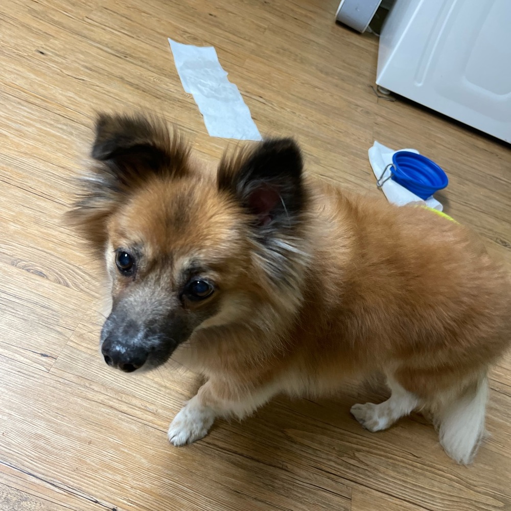 Meet your Posher, Jaelynn